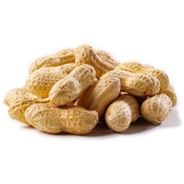 Natures Select Ingredients Natures Select Ingredients 001528 25 lbs Peanuts Raw in Shell for Wild Bird Feed 1528